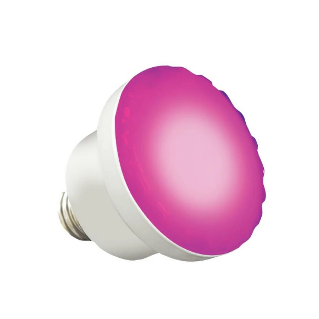 J&J Electronics - 120V, 6W ColorSplash Color Changing And White LED Spa Lamp - Image 4