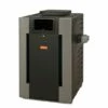 Raypak - Millivolt Propane 200,000 BTU Pool Heater